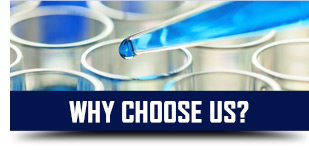 Why Choose Us